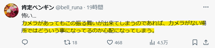 カメラのないところではもっと激しいパワハラか？という声